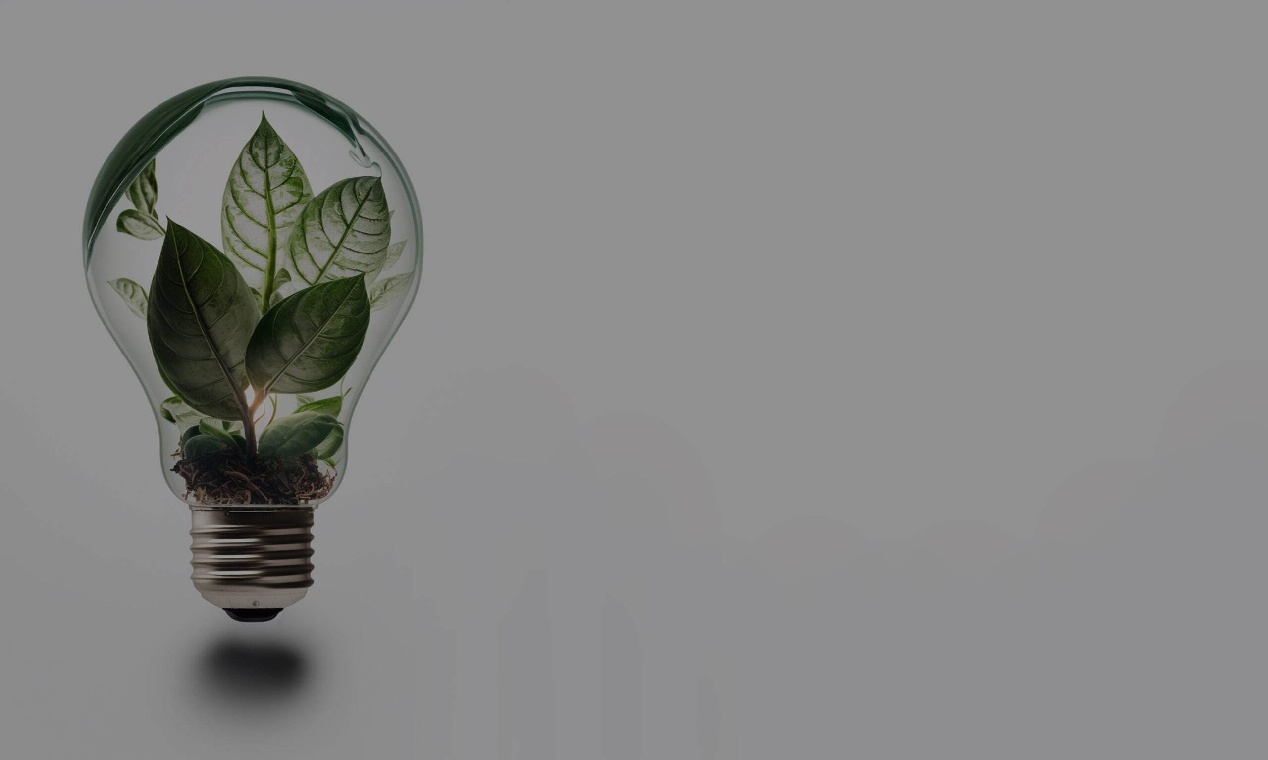 Light bulb with plant leaves. Green energy. Generative AI,