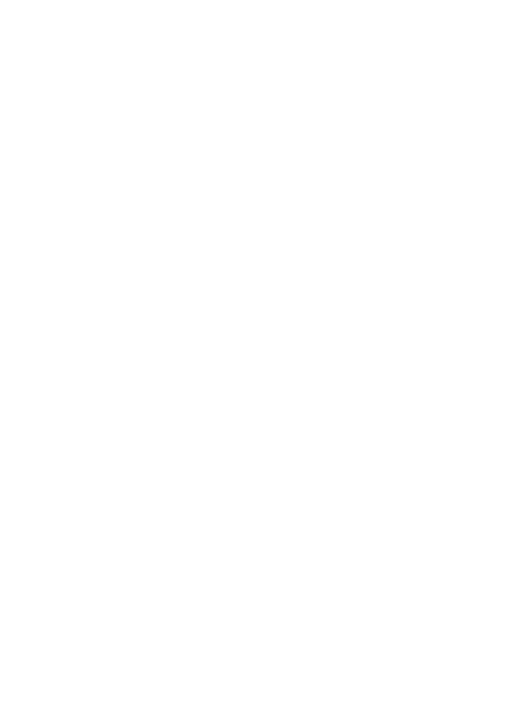 trans-600×800.png